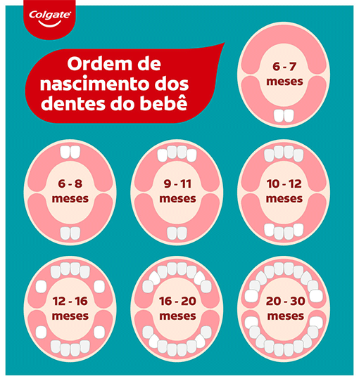 Infográfico sobre ordem de nascimento dos dentes do bebê